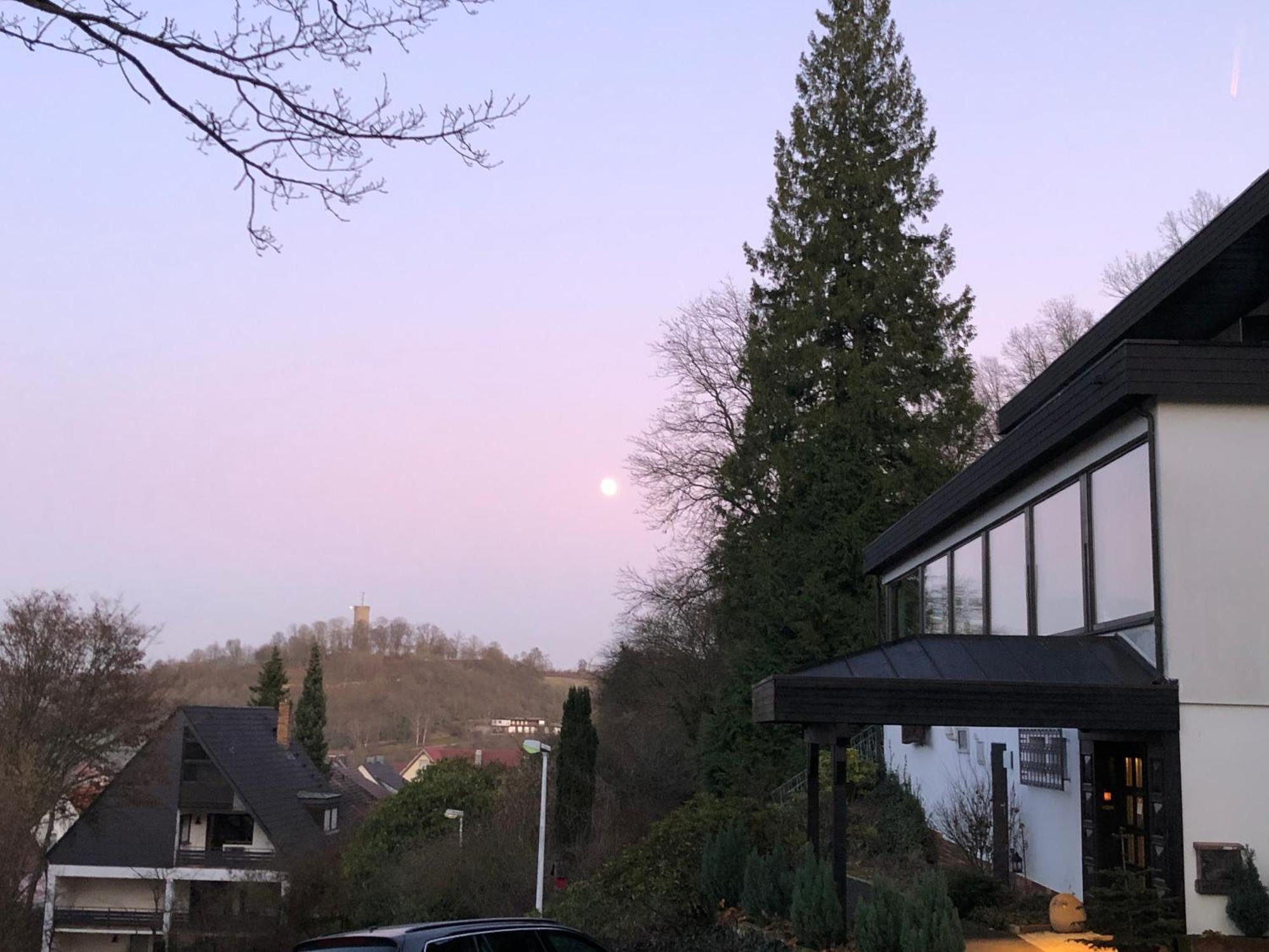 Hotel Haus Am Wald Eltmann Esterno foto