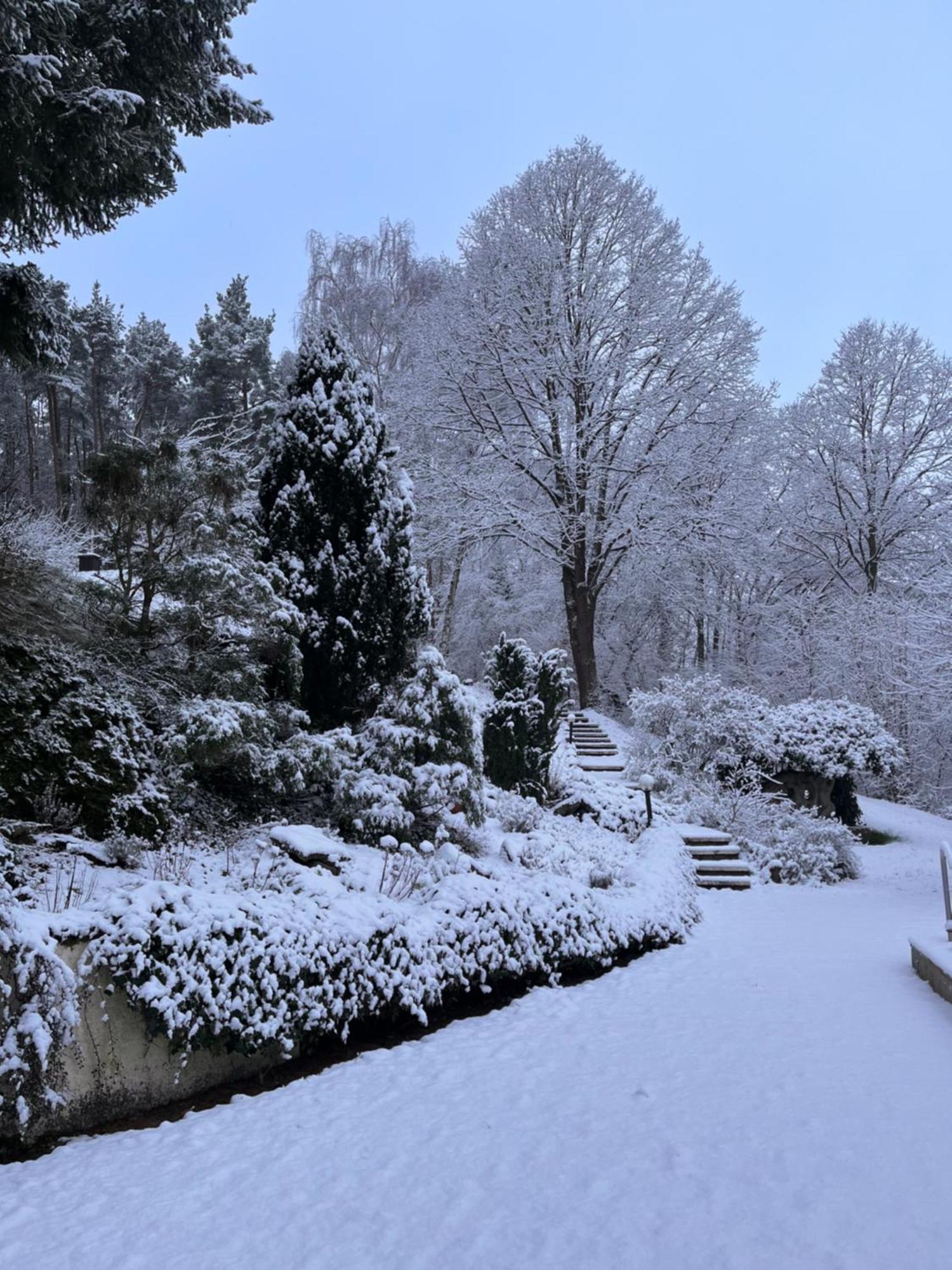 Hotel Haus Am Wald Eltmann Esterno foto